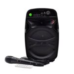KTS Portable Wireless Karaoke Bluetooth Speaker High Bass With Mic